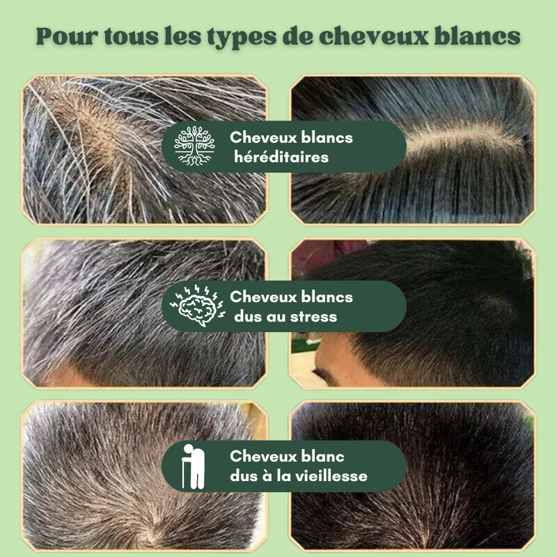 5x Shampoings colorants naturels