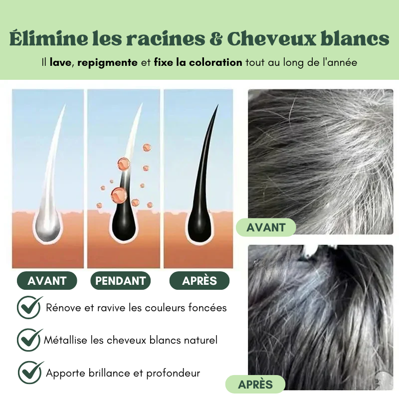 5x Shampoings colorants naturels