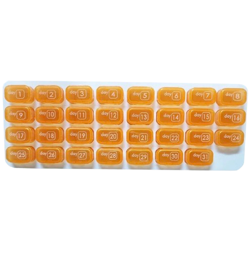 Grand Pilulier mensuel - 31 cases pour un mois
