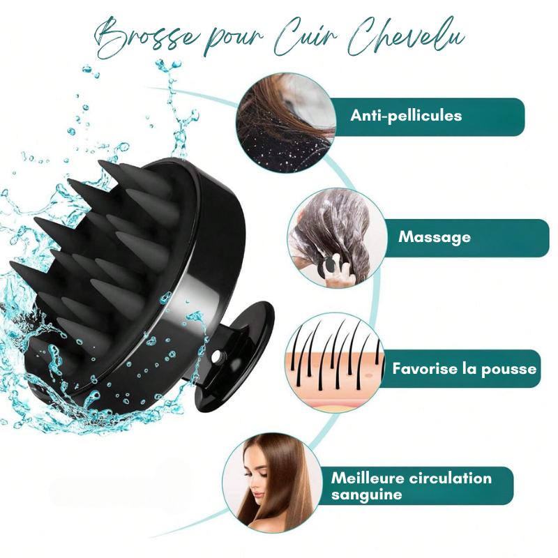 Ensemble de Peignes et Brosses pour Cheveux et Coiffure