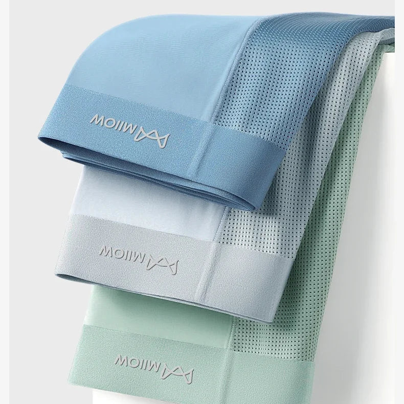 Boxers Sans Couture en Soie Glacée – Lot de 3