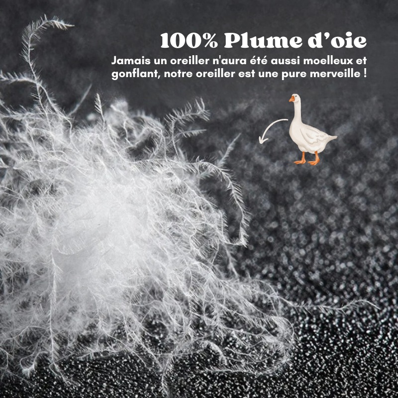 Oreiller d'hôtel de luxe - Coton & Plume d'oie