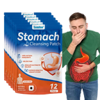 24x Patchs Detox Estomac aux multiples bienfaits