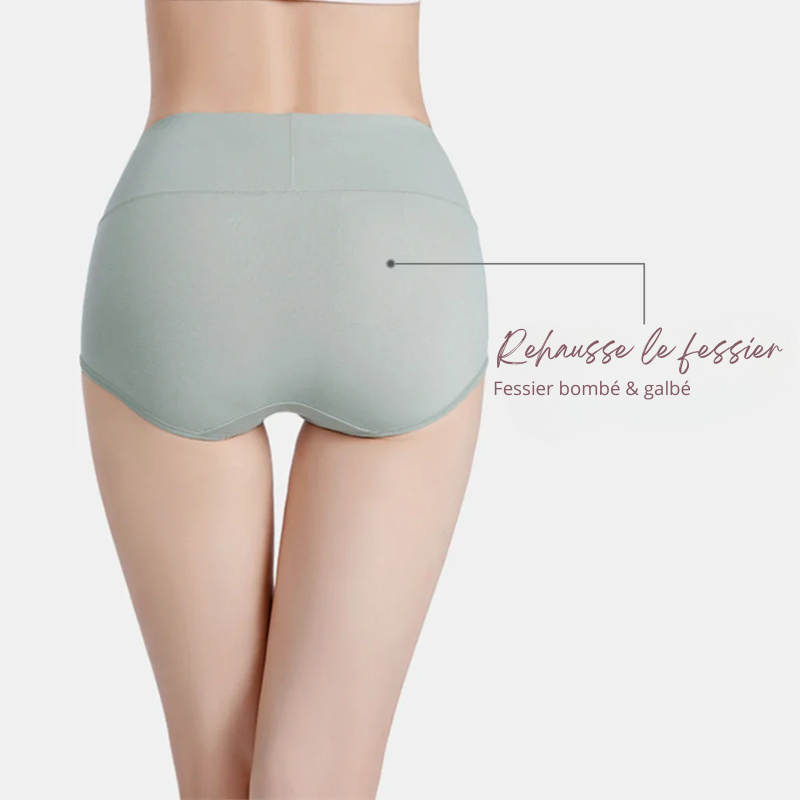 Lot de 5 Culottes Taille en Coton - Ventre Plat & Push-up Fessier