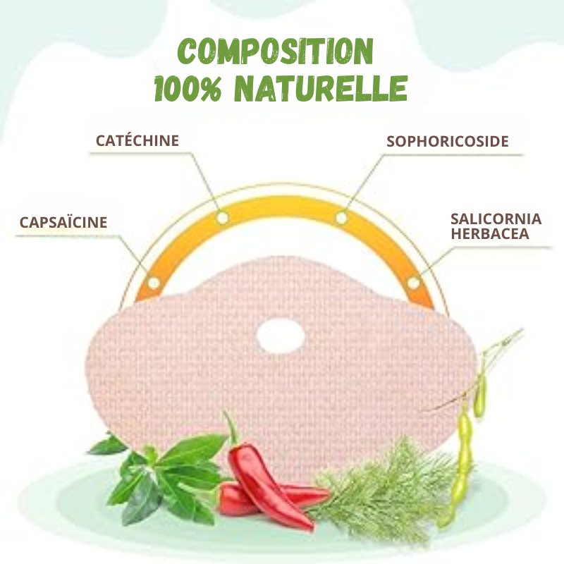 5x Patchs Magiques Ventre Plat à base de Plantes