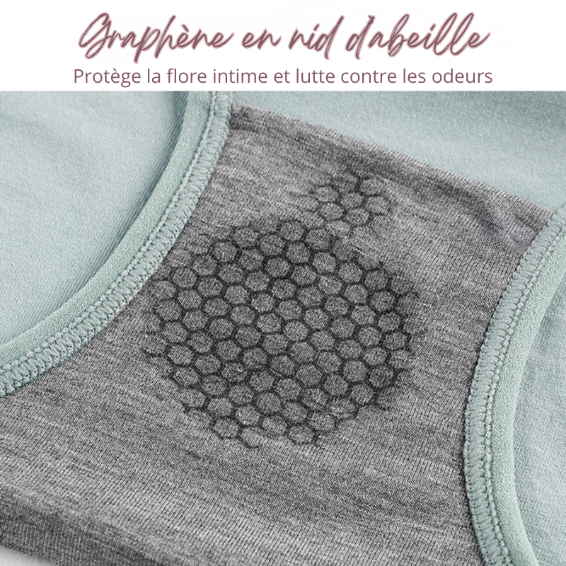 Lot de 5 Culottes Taille en Coton - Ventre Plat & Push-up Fessier