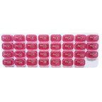 Gran Pastillero mensual - 31 compartimentos para un mes