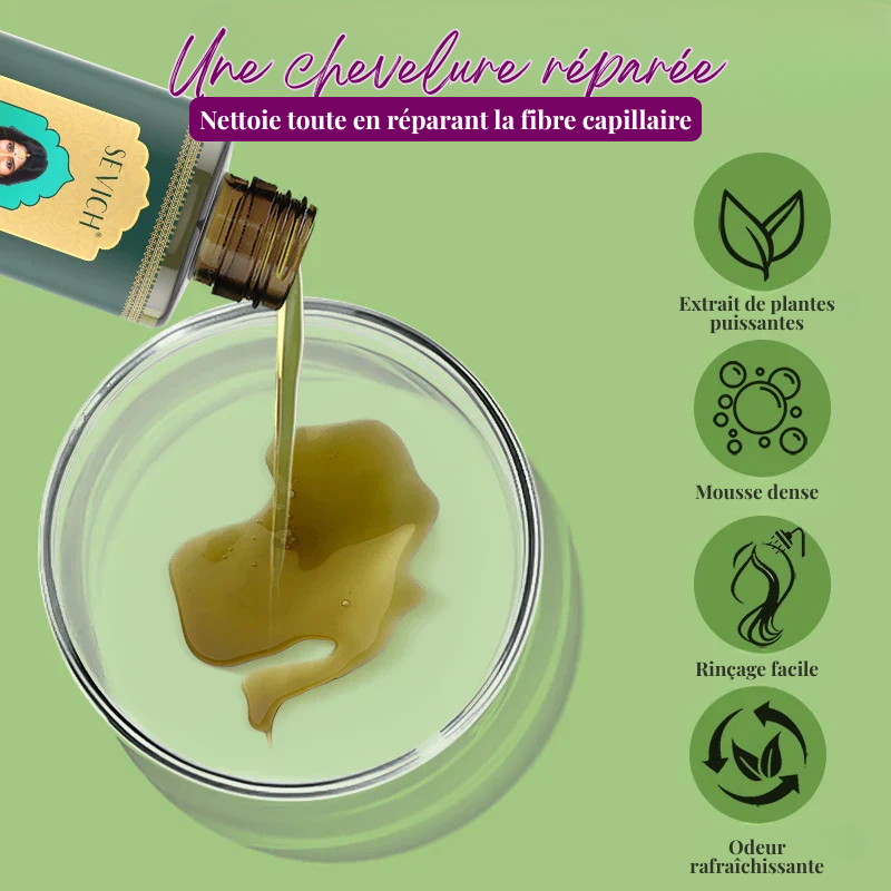 Duo Shampoing & Huile Pousse Accélérée et Anti-Chute - Brosse + Applicateur OFFERTS