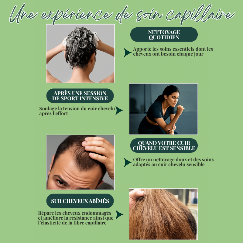 Duo Shampoing & Huile Pousse Accélérée et Anti-Chute - Brosse + Applicateur OFFERTS