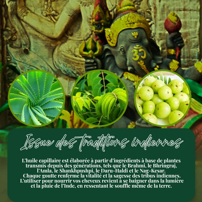 Huile Indienne de Pousse Cheveux