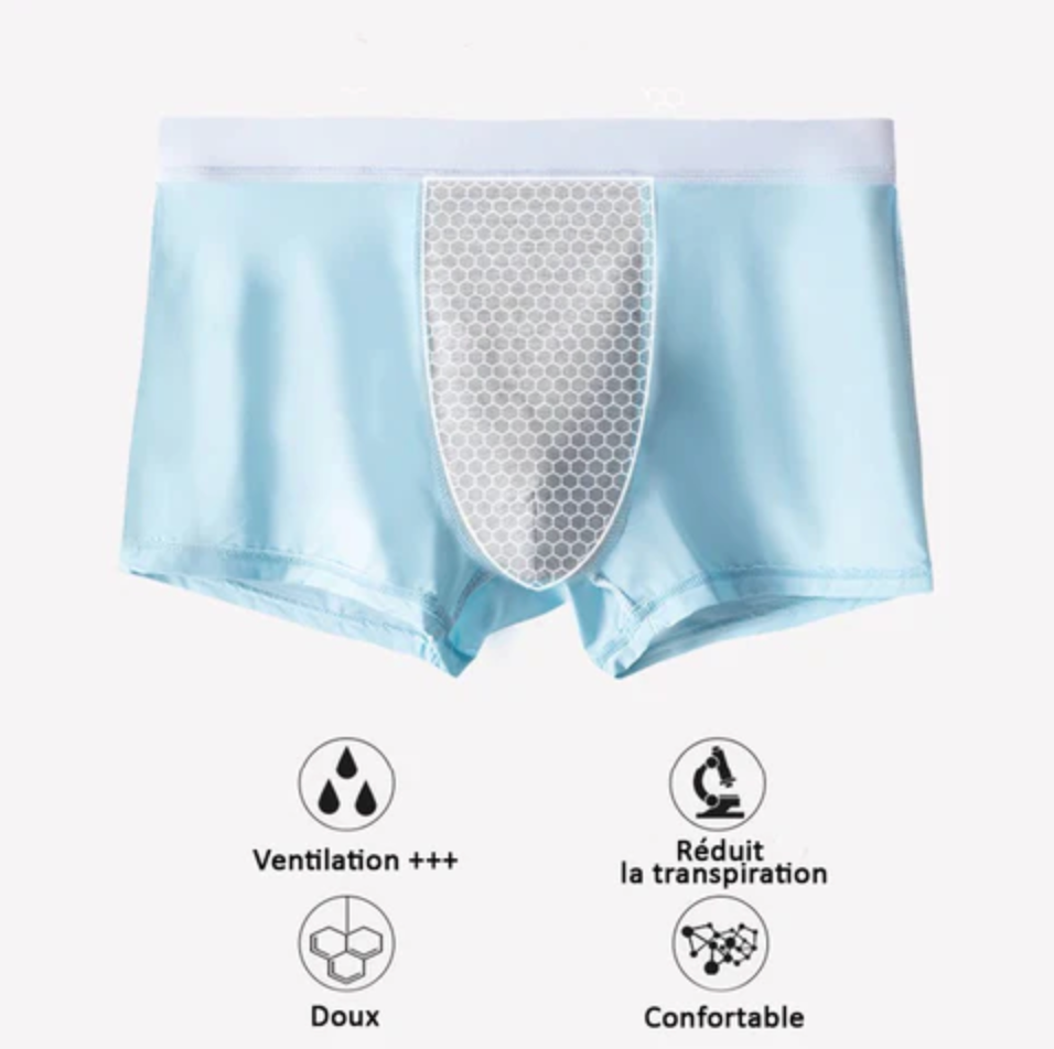 Lot de 4 boxers en soie glacée antibactériens