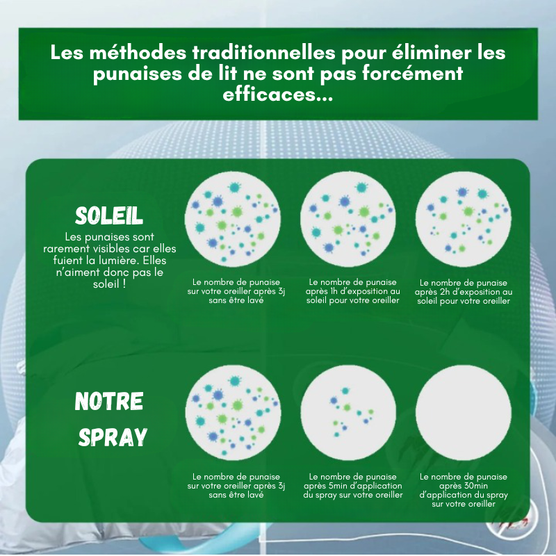 Lot 2 Sprays Anti-Buée Sonax 500 Ml - Vision Claire Sur Vitres Voiture & Casques Moto
