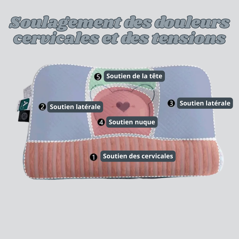 Oreiller Cervical AntiBactérien à Haut Rebond
