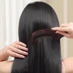 Peigne Anti-Pellicules Auto-nettoyant & Antistatique