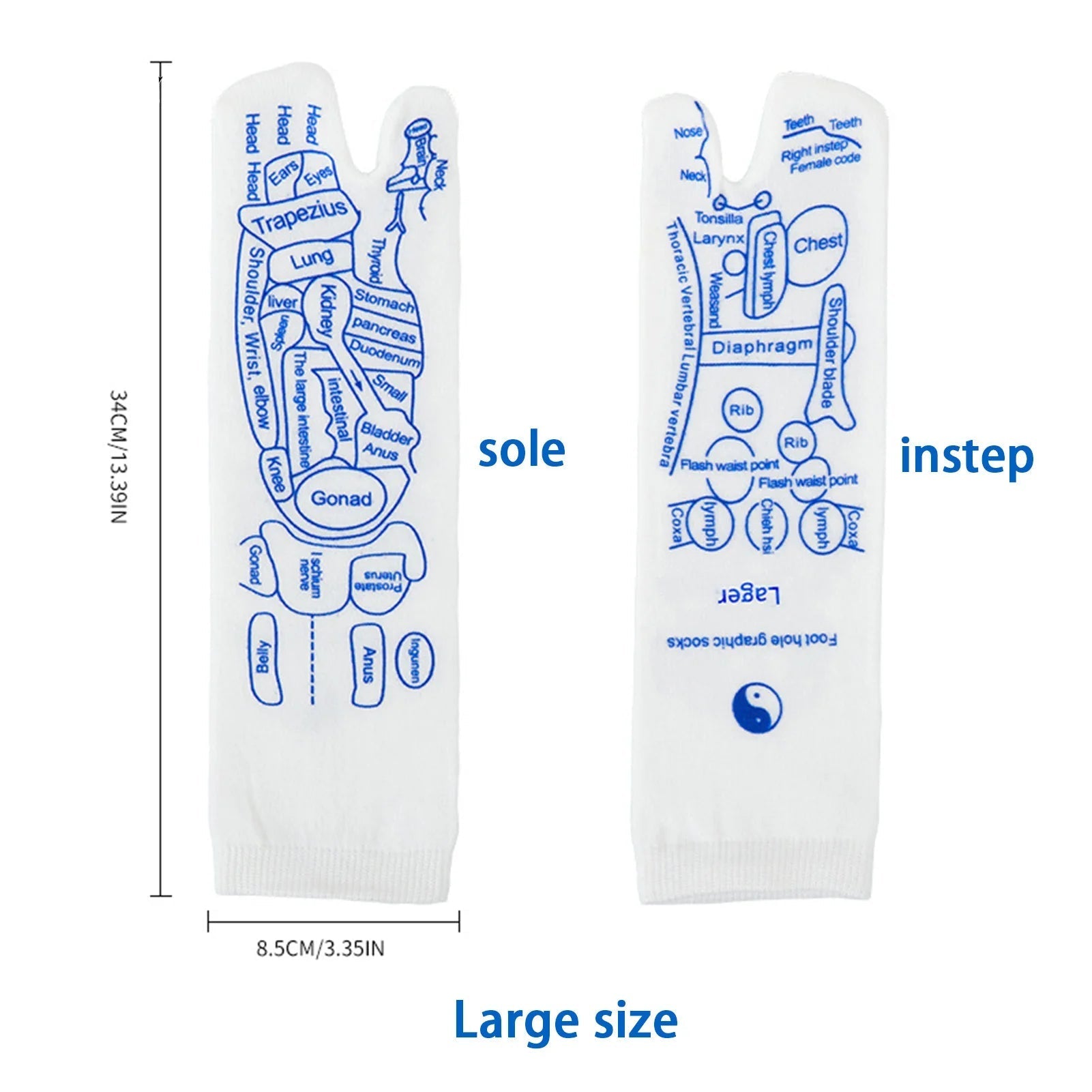 Chaussettes de Réflexologie Plantaire - Accessoires OFFERTS