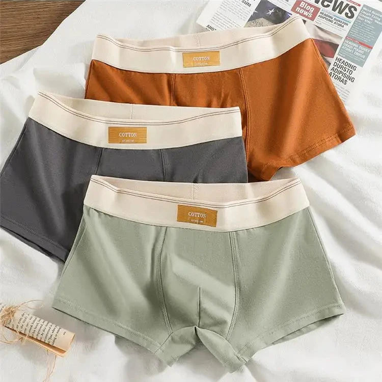 Lot de 3 boxers 100% Coton - Grande Taille