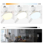 Plafonnier LED 40W avec Ventilateur et Télécommande