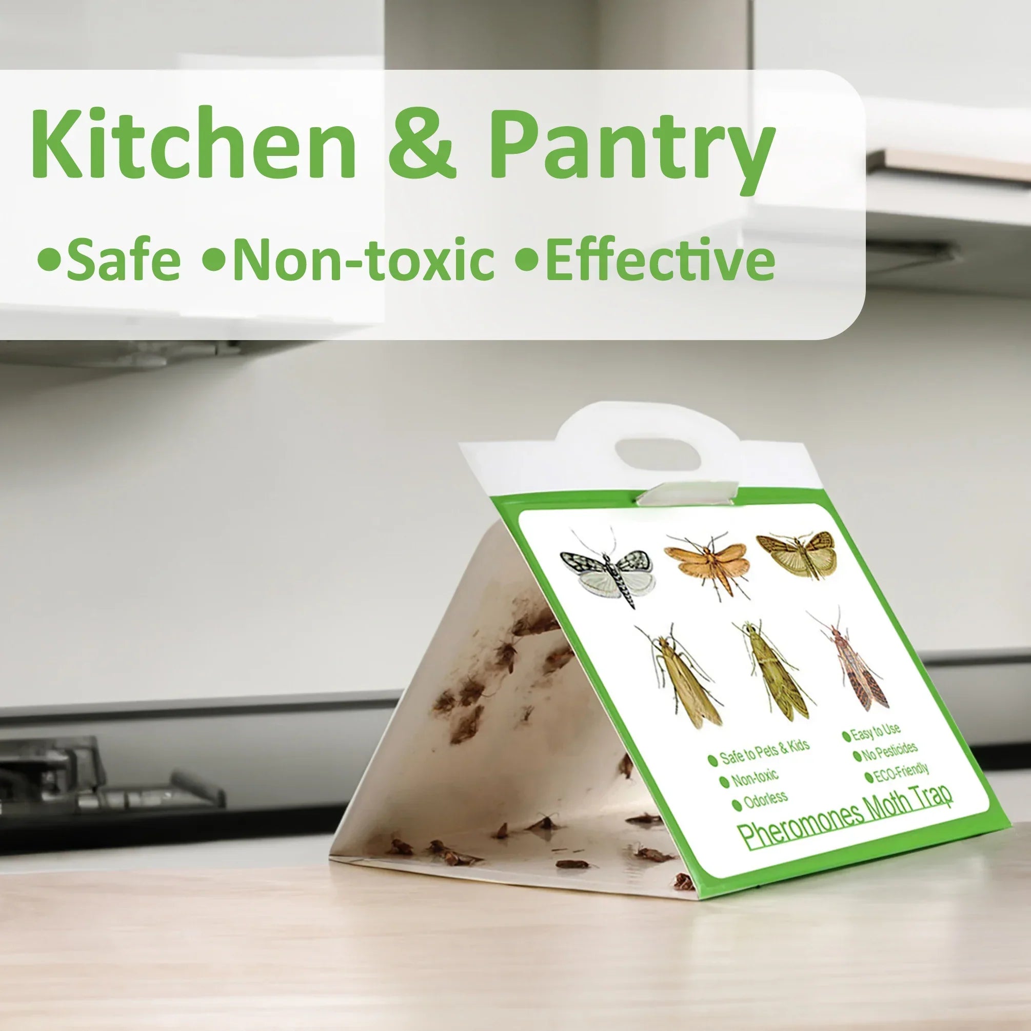 Lot de 6 Pièges Autocollants Anti-Mites Pour Vêtements