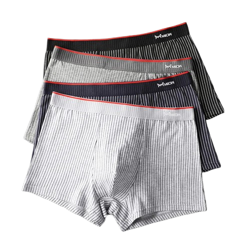 Lot de 4 Boxers Rayés en Coton Biologique