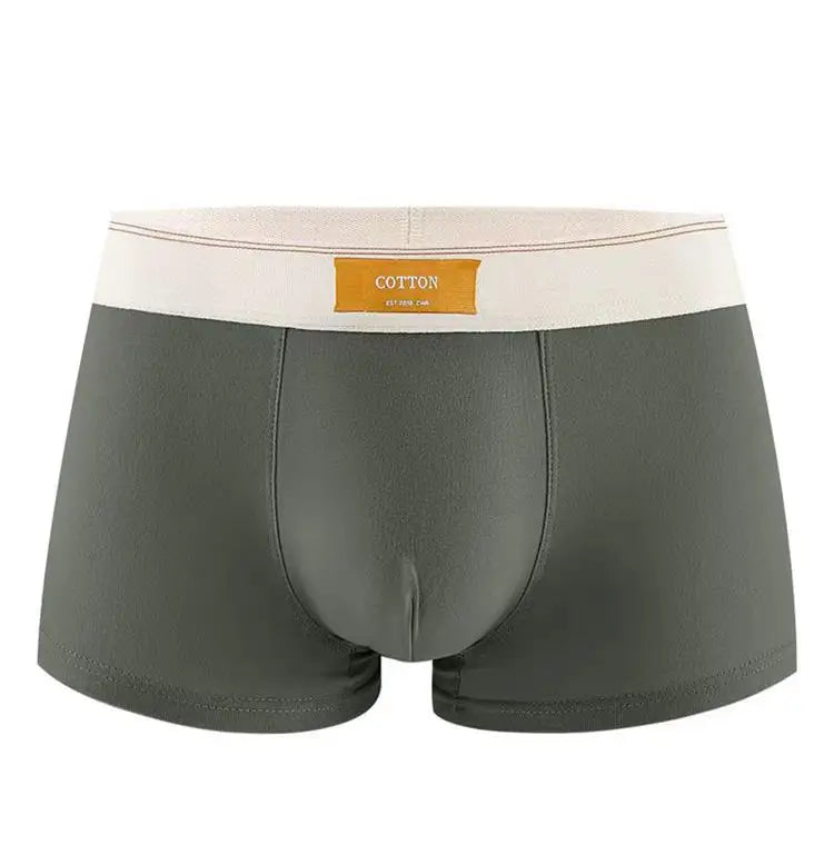 Lot de 3 boxers 100% Coton - Grande Taille