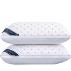 Oreiller Orthopédique pour Soutien Cervical & Aide au Sommeil