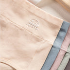 Lot de 5 Culottes Taille en Coton - Ventre Plat & Push-up Fessier