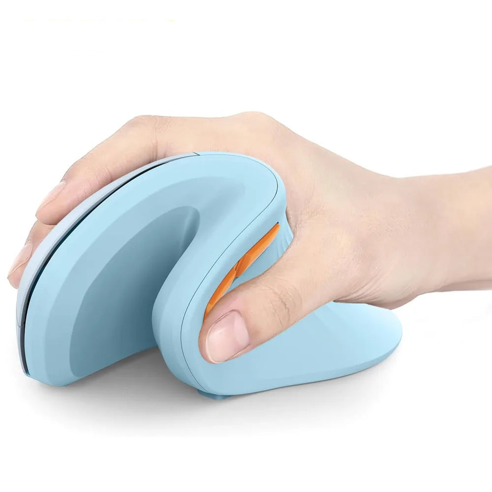 Souris Sans fil Ergonomique Anti-Douleurs