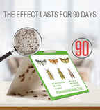 Lot de 6 Pièges Autocollants Anti-Mites Pour Vêtements