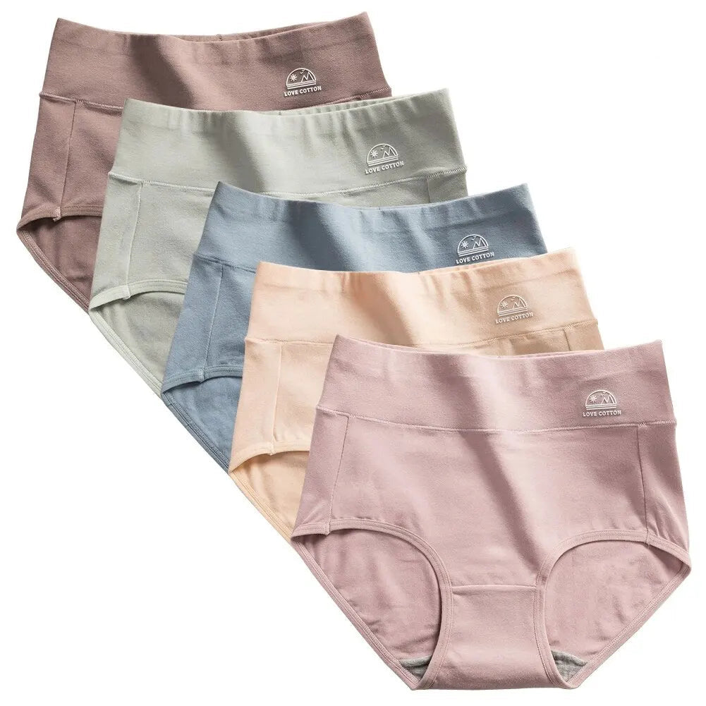 Lot de 5 Culottes Taille en Coton - Ventre Plat & Push-up Fessier