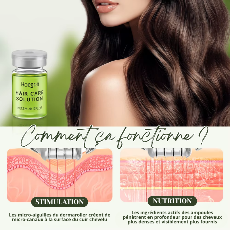 Coffret Ampoules Capillaire Anti-Perte de Cheveux + Dermaroller à Réservoir OFFERT