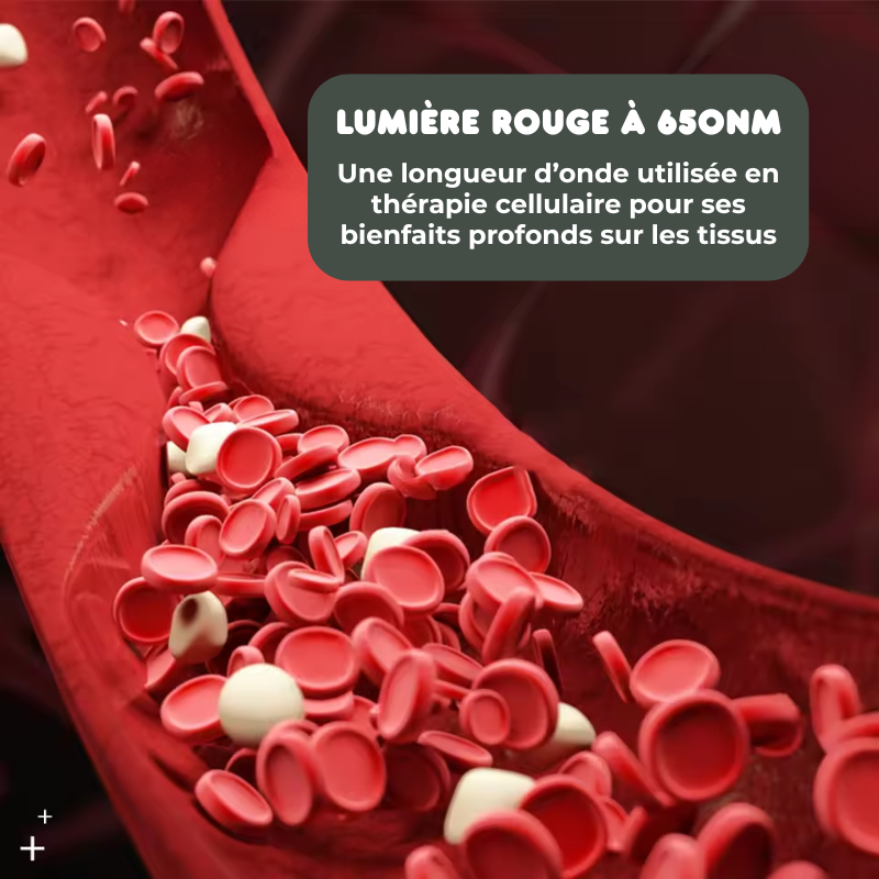 Écouteurs Auriculaires Infrarouge 650nm - Multiples Bienfaits
