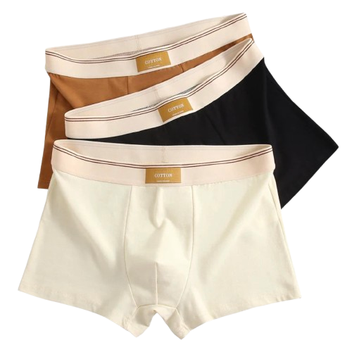 Lot de 3 boxers 100% Coton - Grande Taille