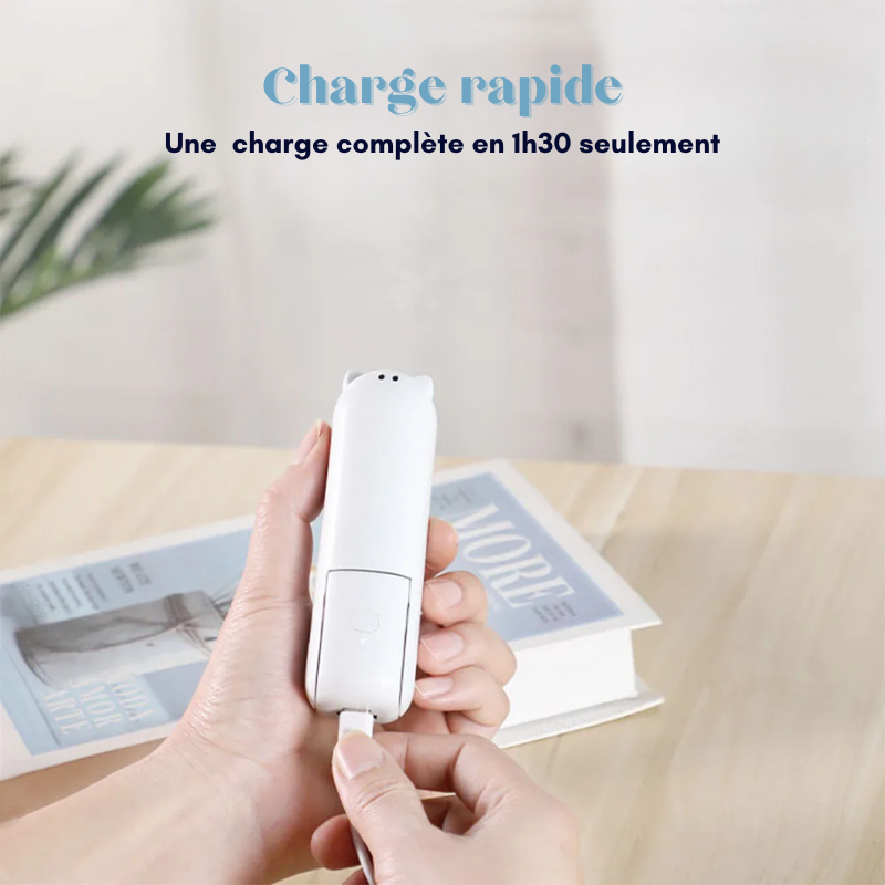 Mini ventilateur portable USB avec batterie externe intégrée