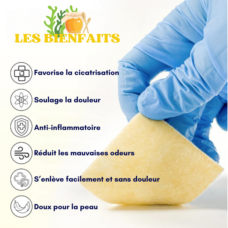 Lot de 10 pansements alginate de calcium miel
