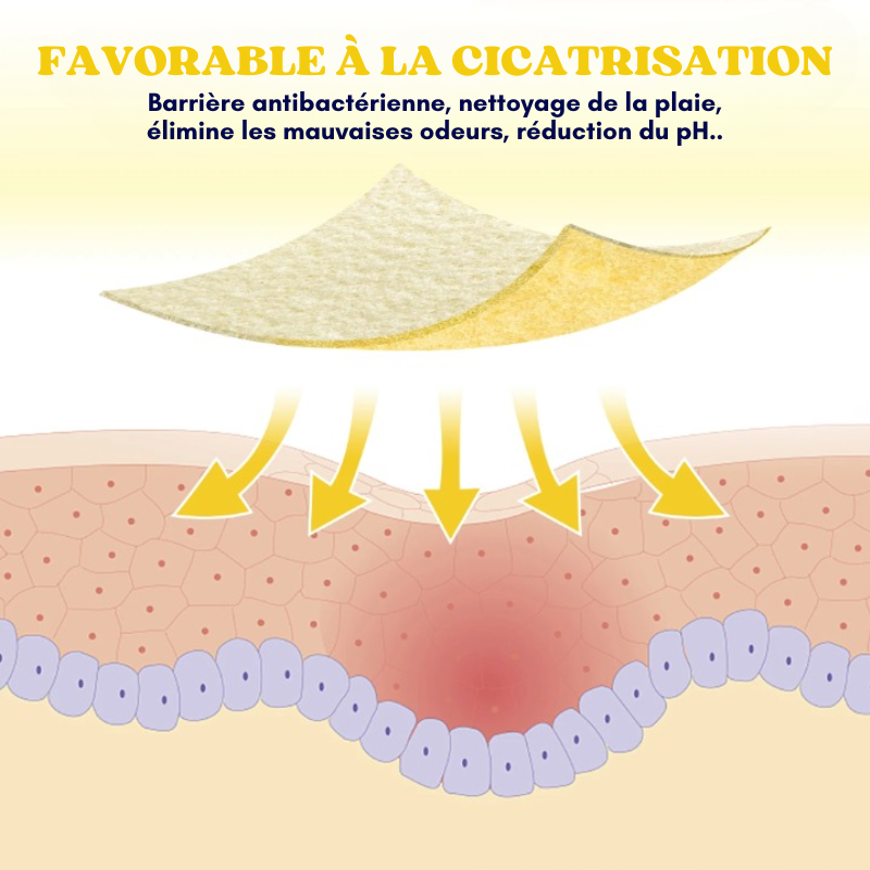 Lot de 10 pansements alginate de calcium miel