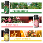Huiles essentielles spéciales Noël
