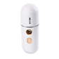 Mini brumisateur facial