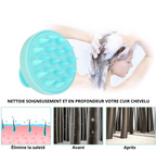 Brosse Massante cuir chevelu 