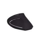 Souris Ergonomique Verticale Sans fil