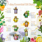 Diffuseur d'Huiles essentielles Aromathérapie